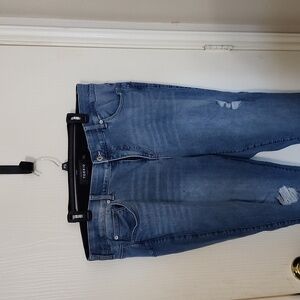 Torrid Premium Jeans